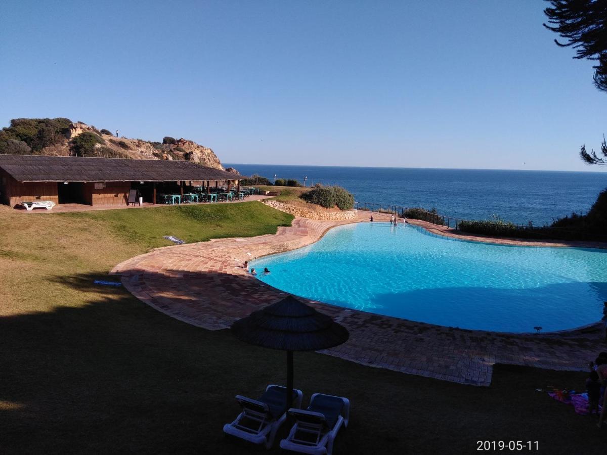 אלבור Cozy Summer House מראה חיצוני תמונה